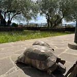 Penzion Iloghe Di Marras 4*