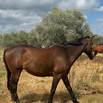 Penzion Iloghe Di Marras Dorgali