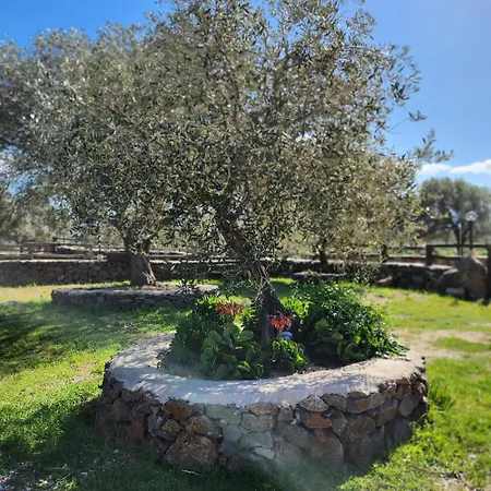Iloghe Di Marras