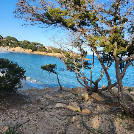 Iloghe Di Marras 도르갈리