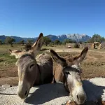 Iloghe Di Marras بيت ضيافة دورغالي