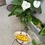 Iloghe Di Marras بيت ضيافة دورغالي