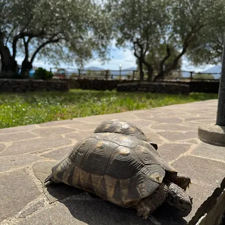 Penzion Iloghe Di Marras 3*