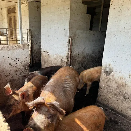Konukevi Iloghe Di Marras Dorgali
