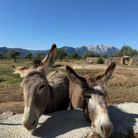 Iloghe Di Marras Konukevi Dorgali