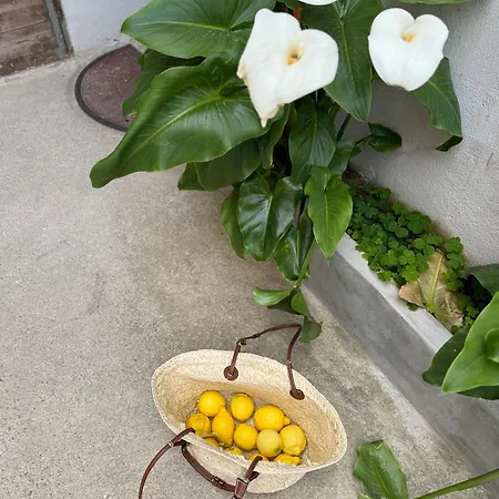 Iloghe Di Marras Konukevi Dorgali