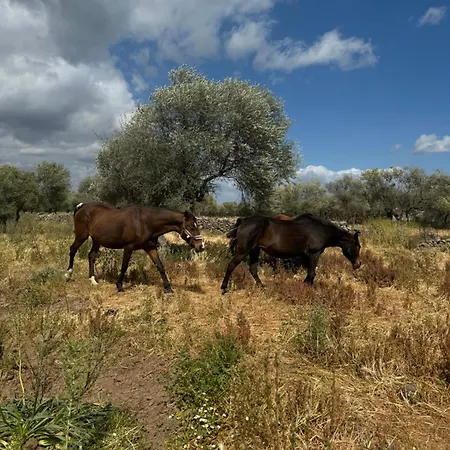 Konukevi Iloghe Di Marras 3*