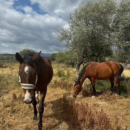 Iloghe Di Marras Dorgali