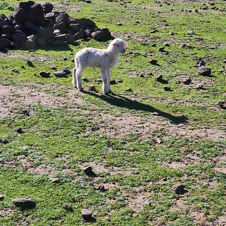 Penzion Iloghe Di Marras 3*