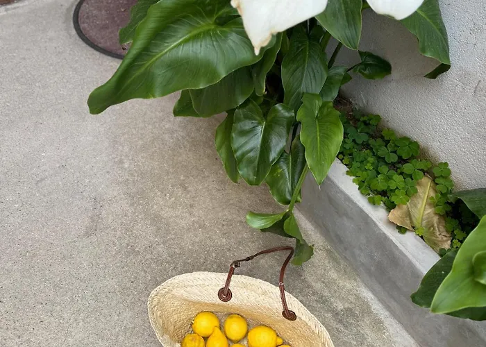 Iloghe Di Marras بيت ضيافة دورغالي